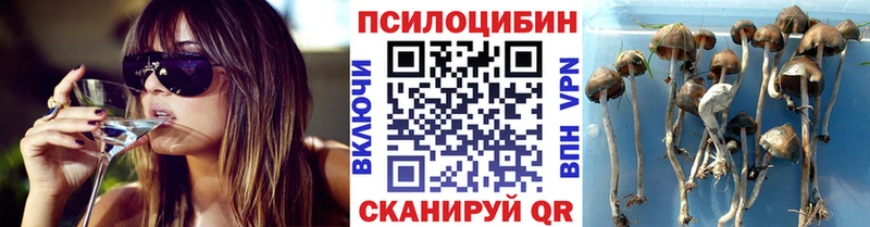 Псилоцибиновые грибы GOLDEN TEACHER  Чулым 